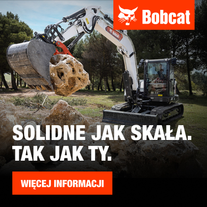 Bobcat