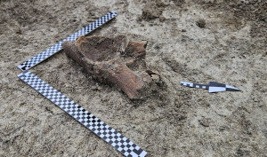 Bez archeologa nie zbudujesz