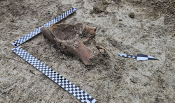 Bez archeologa nie zbudujesz