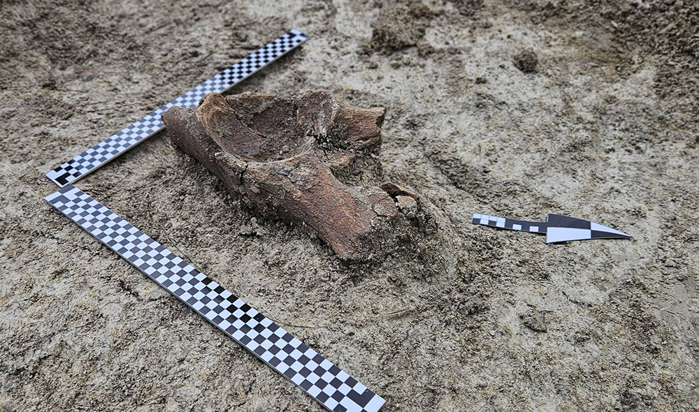 Bez archeologa nie zbudujesz